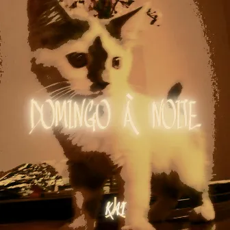 Domingo à Noite by Kai 火