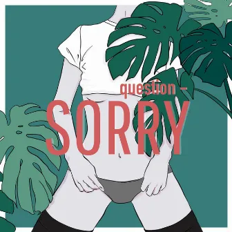 Sorry by Question