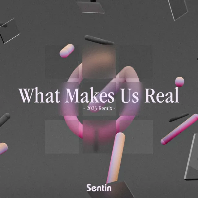 What Makes Us Real (Remix)