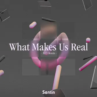 What Makes Us Real (Remix) by Sentin