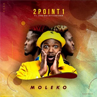 Moleko by 2Point1