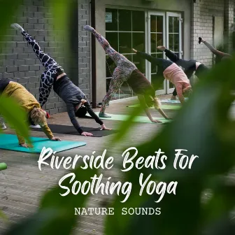 Nature Sounds: Riverside Beats for Soothing Yoga by Yoga Music Playlists For Yoga