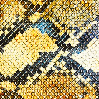 Amphetamine Ballads by The Amazing Snakeheads