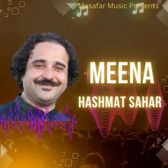 Meena by Hashmat Sahar