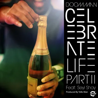 Celebrate Life Pt II by Doom Man