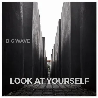 Look at Yourself by Big Wave