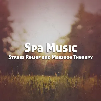 Spa Music for Stress Relief and Massage Therapy by Unknown Artist