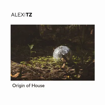 Origin of House by Alex TZ