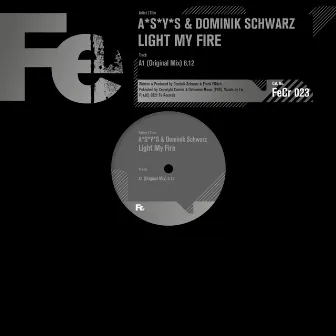 Light My Fire (Original Mix) by Dominik Schwarz