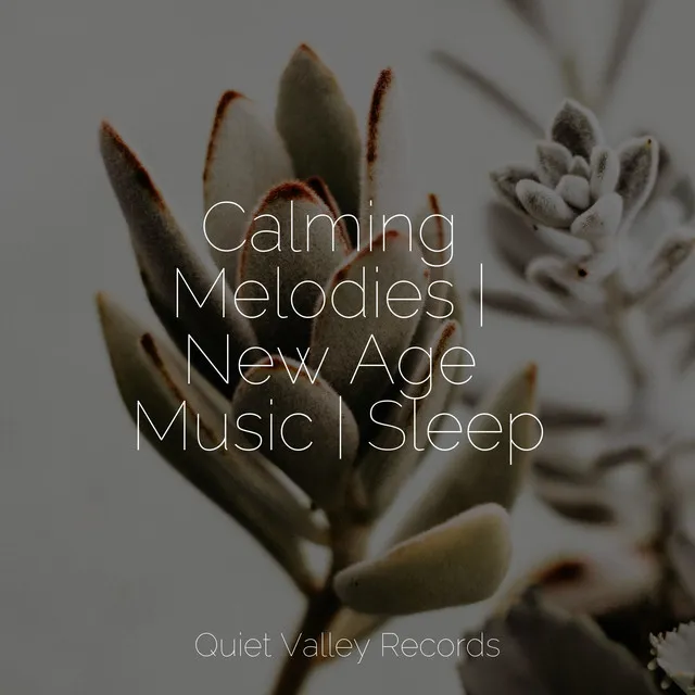 Calming Melodies | New Age Music | Sleep