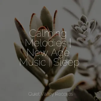 Calming Melodies | New Age Music | Sleep by Ambient Music Therapy