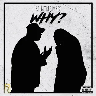 WHY? by Palmtree Pyrex