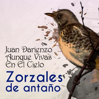 Zorzales de Antaño - Juan Darienzo - Aunque Vivas En El Cielo by Orquesta De Juan Darienzo