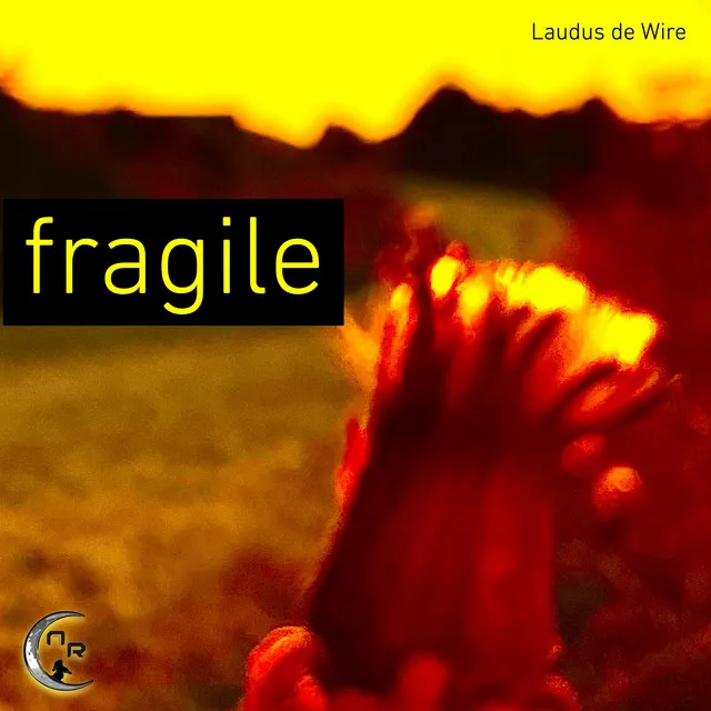 Fragile