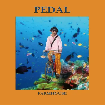 PEDAL by FARMHOUSE