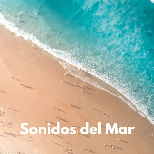 Sonidos Del Mar