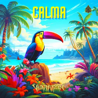 Calma by Vibration