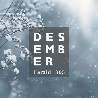 Desember by Harald 365