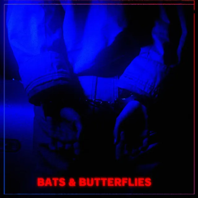 Bats & Butterflies