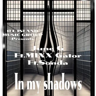 In My Shadows by June G