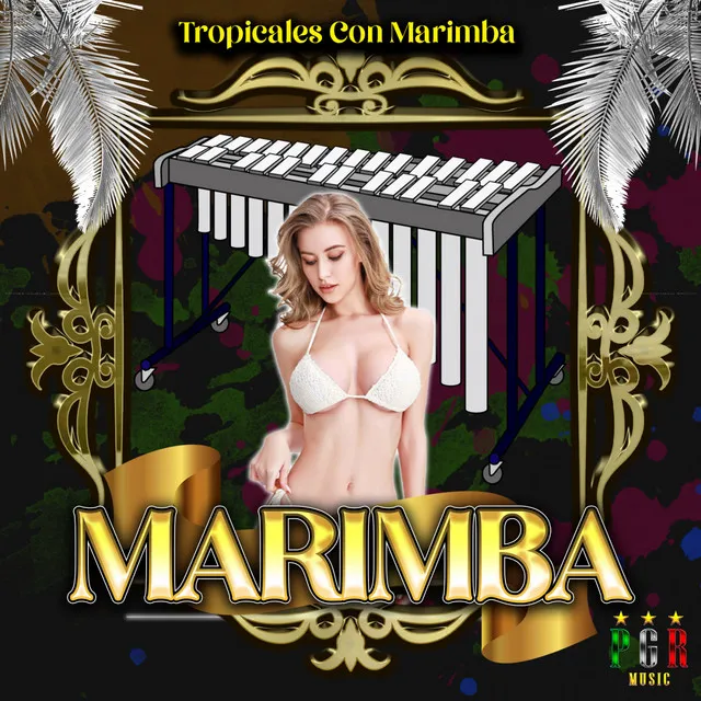 Marimba De Chiapas