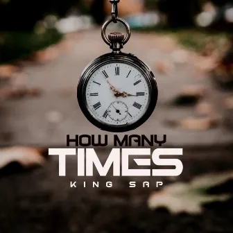 How Many Times by King Sap