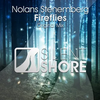 Fireflies by Nolans Stenemberg