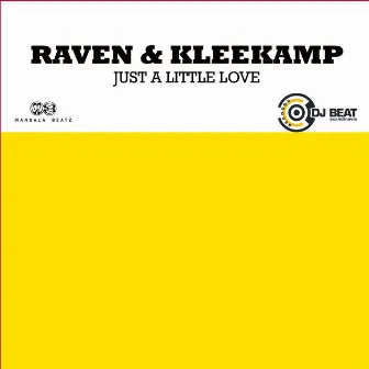 Just a Little Love by Raven