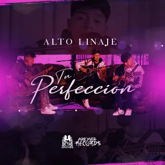 Tu Perfección by Alto Linaje