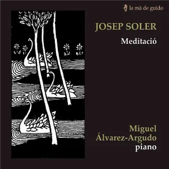 Josep Soler: Meditació by Miguel Álvarez-Argudo