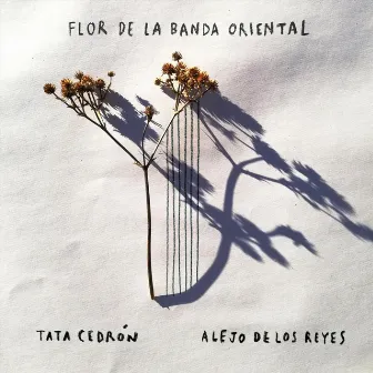 Flor de la Banda Oriental by Alejo de los Reyes