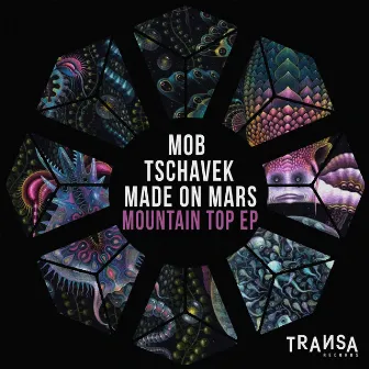 Mountain Top EP by Made On Mars