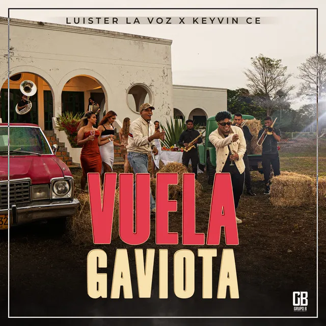 Vuela Gaviota