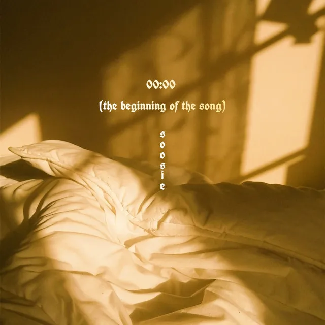 00:00 (The Beginning of the Song)