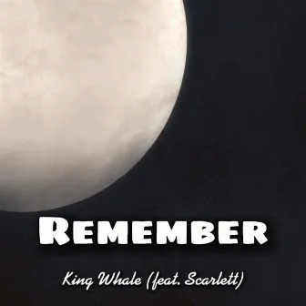 Remember by King Whale