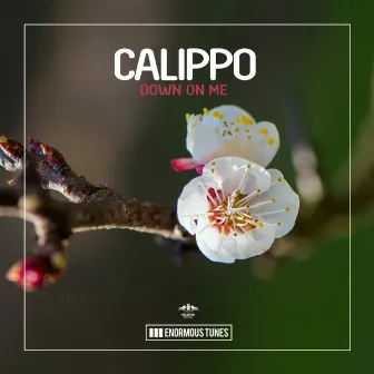 Down on Me by Calippo