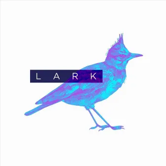 Invisible Things by Lark