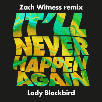 It'll Never Happen Again (Zach Witness Remix;Edit) by Zach Witness