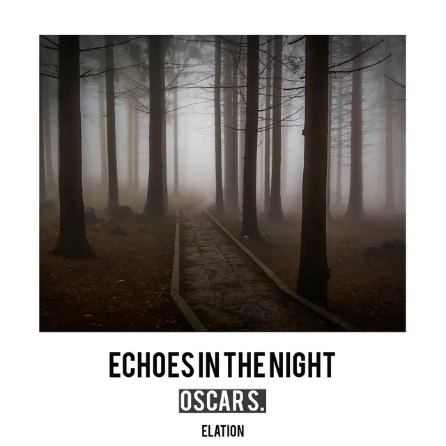 Echoes In The Night