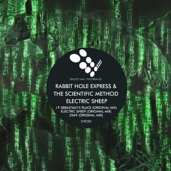 Electric Sheep by The Rabbit Hole Express