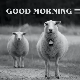 Good Morning Sheeps (Guten Morgen Schafweide) by Echoes of Life