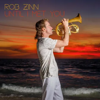 Until I Met You by Rob Zinn