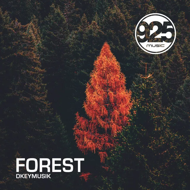 Forest - Radio Mix