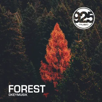 Forest by Dkeymusik