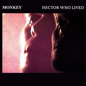 Monkey by Hector Who Lived