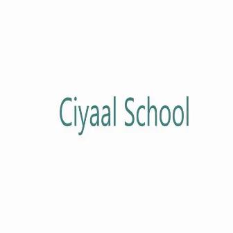 Ciyaal School by Shaadiyo Sharaf