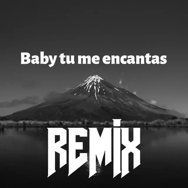 Baby Tu Me Encantas - Remix