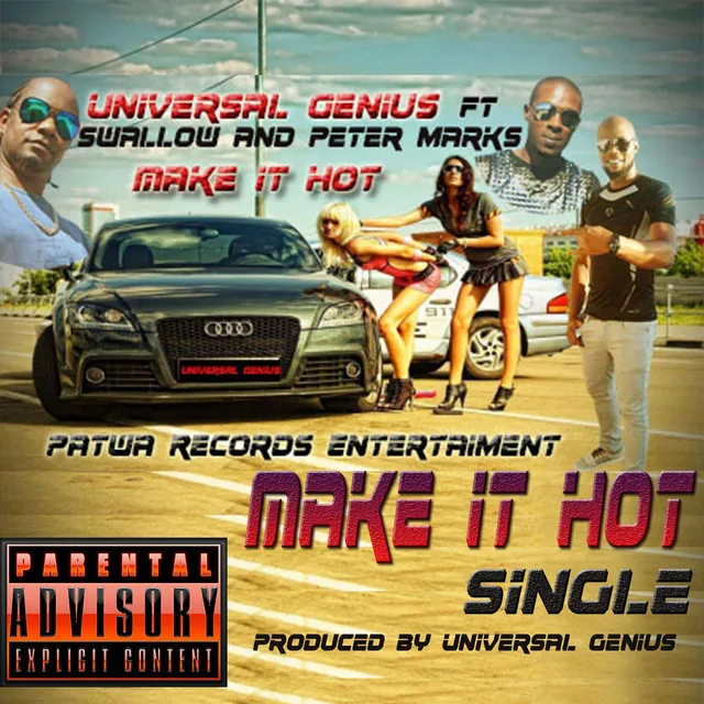 Make It Hot (feat. Swallow & Peter Mark)