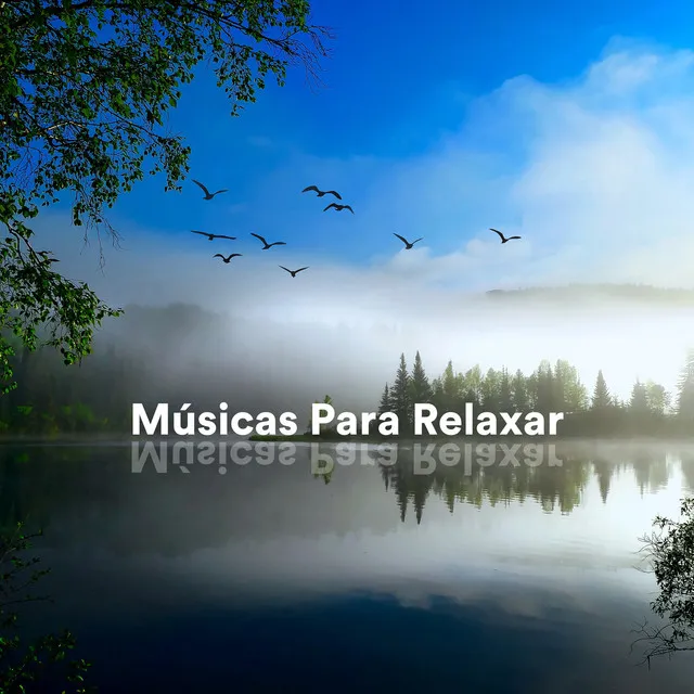 Músicas para Relaxar