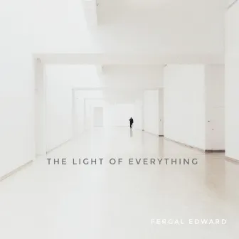 The Light of Everything by Fergal Edward